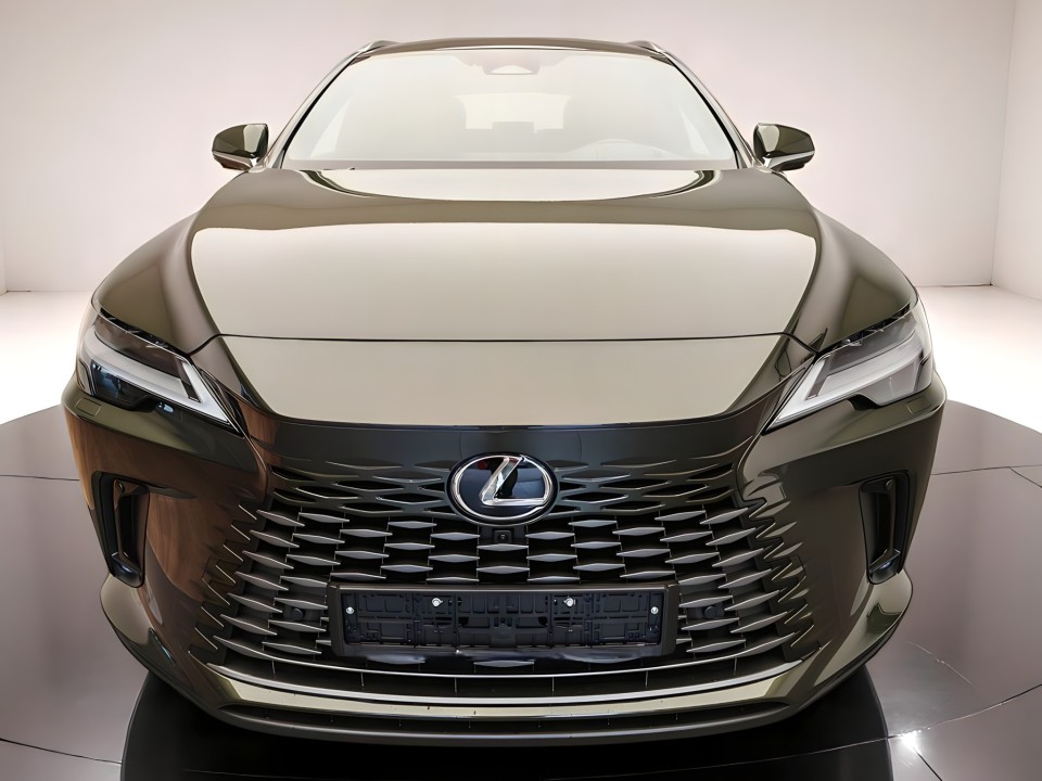 Lexus Seria RX 450h+ Executive (2)