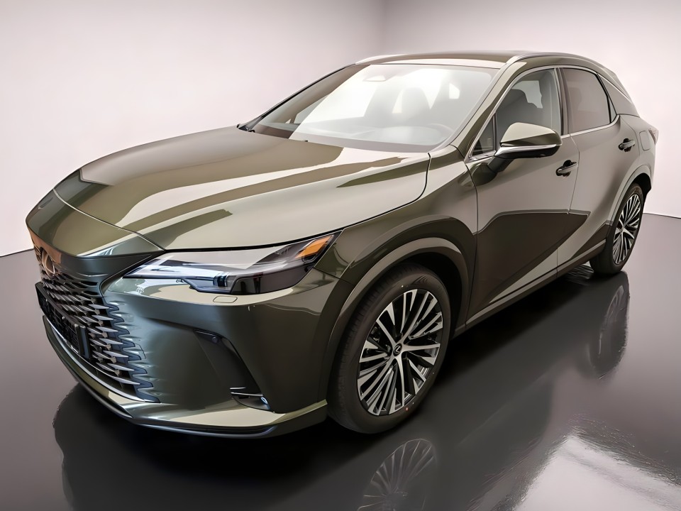 Lexus Seria RX 450h+ Executive (3)