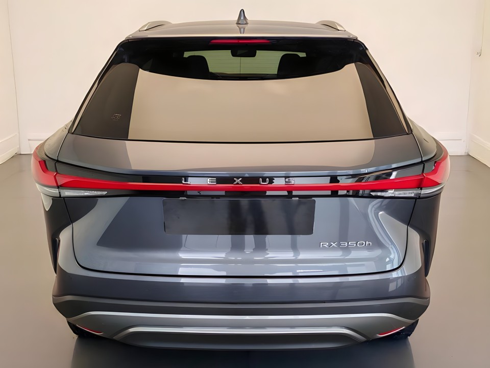 Lexus Seria RX 350h Executive (3)