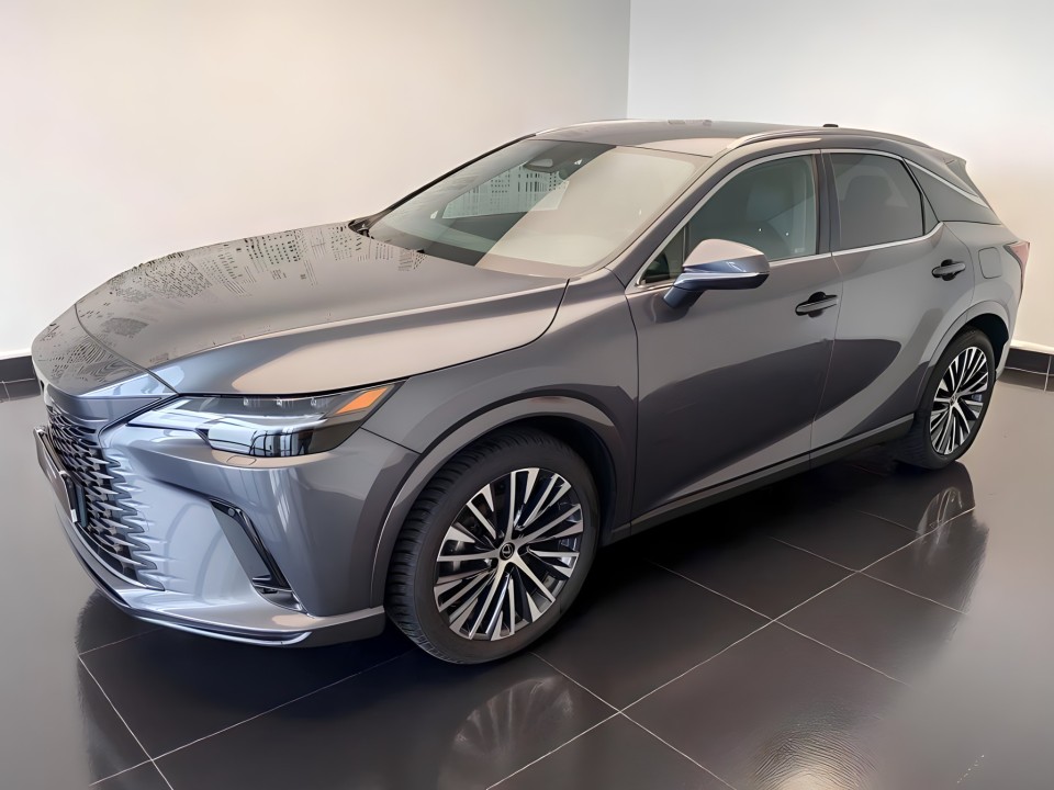 Lexus Seria RX 350h Executive (5)