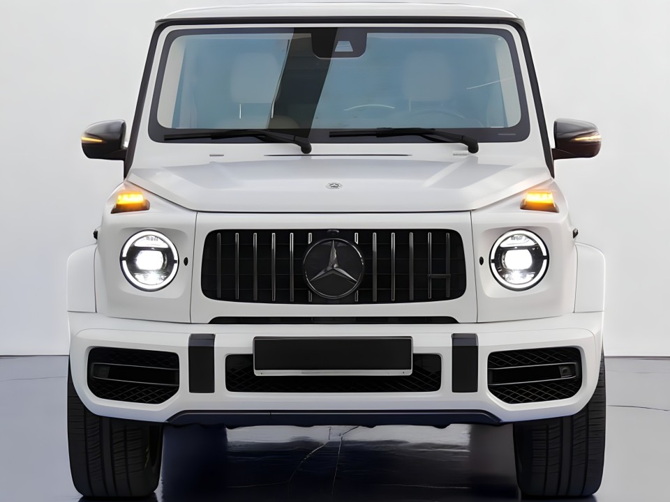 Mercedes-Benz G 63 AMG (2)