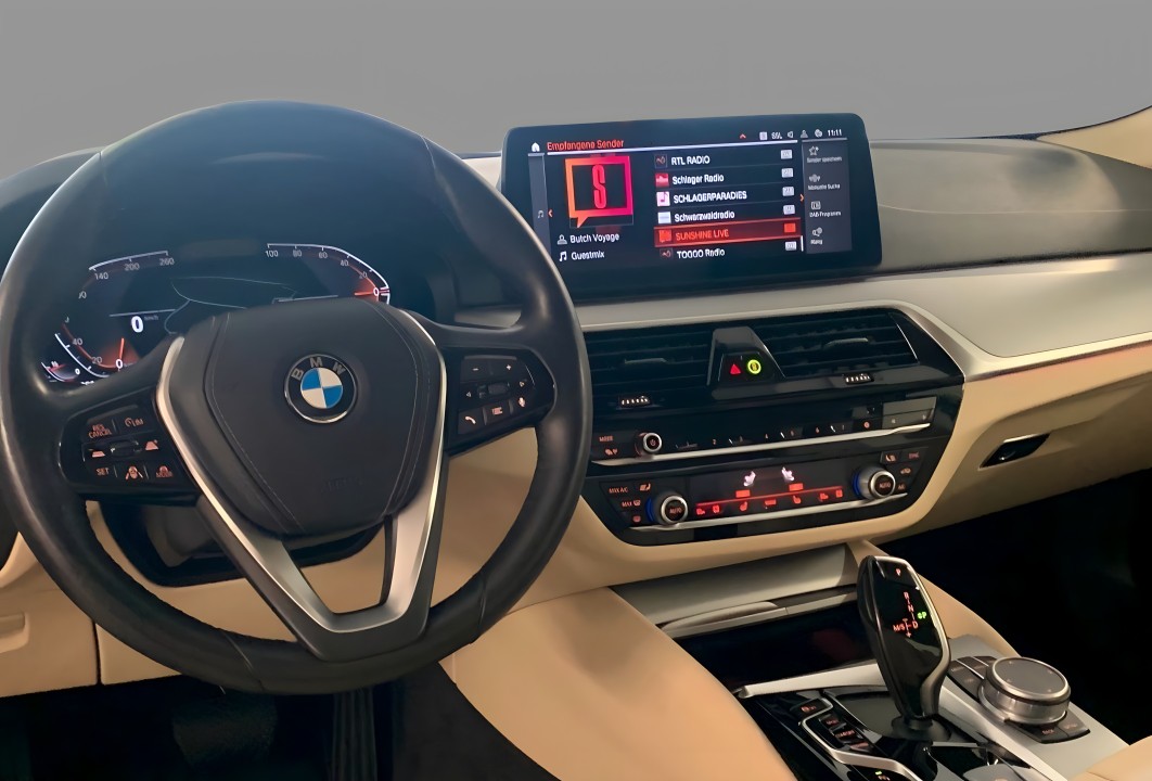 BMW Seria 5 530 xDrive (5)