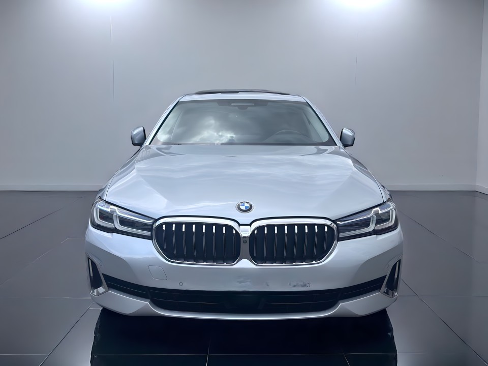 BMW Seria 5 530d xDrive (2)