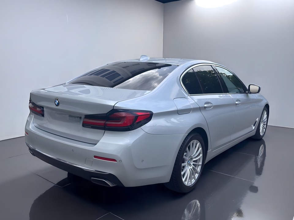 BMW Seria 5 530d xDrive (3)