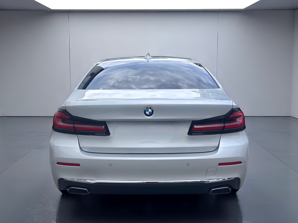 BMW Seria 5 530d xDrive (4)