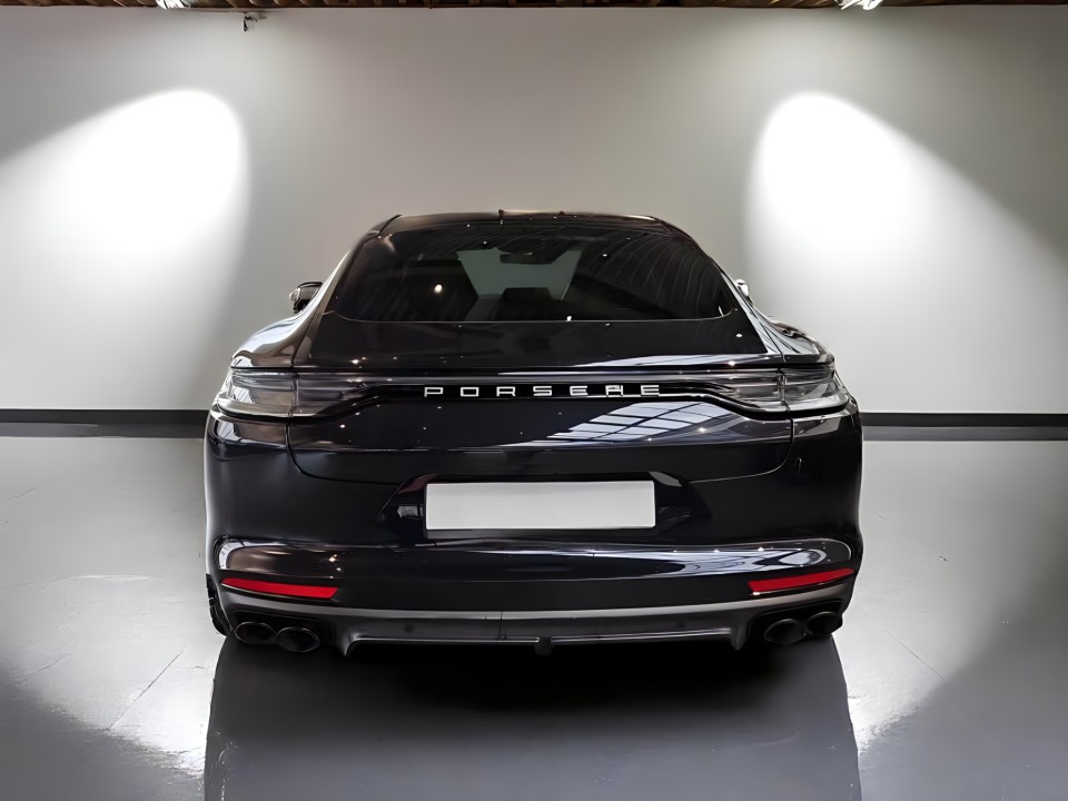 Porsche Panamera E-Hybrid Platinum (4)