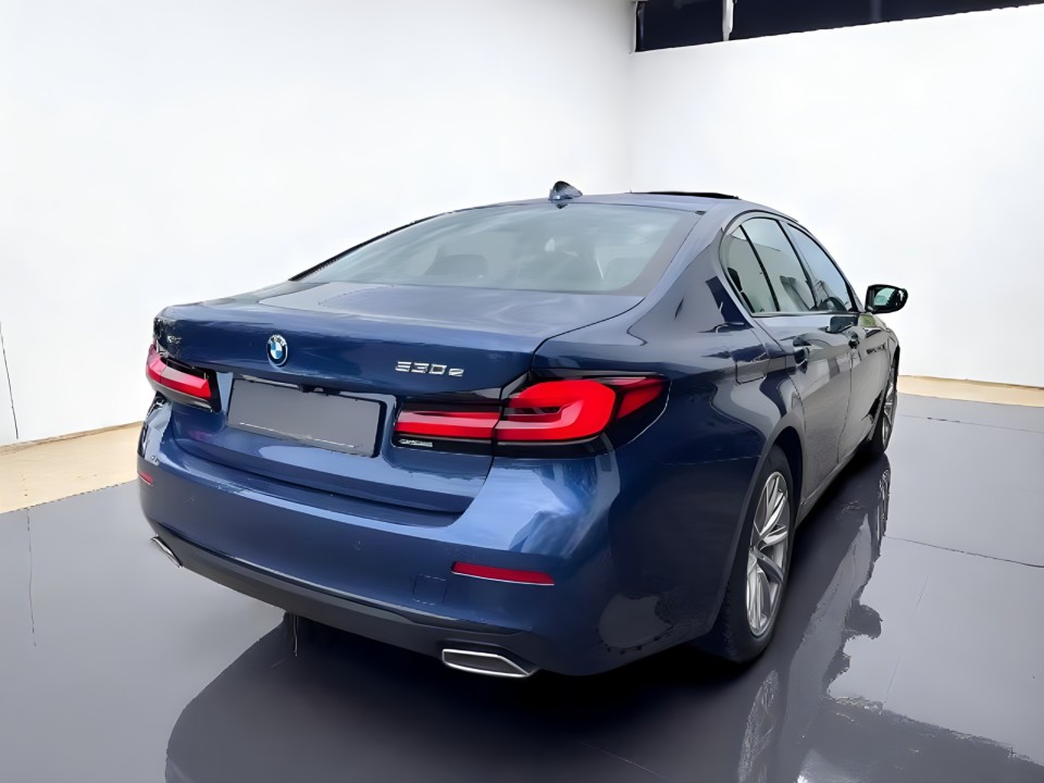 BMW Seria 5 530e xDrive M-Sport (2)