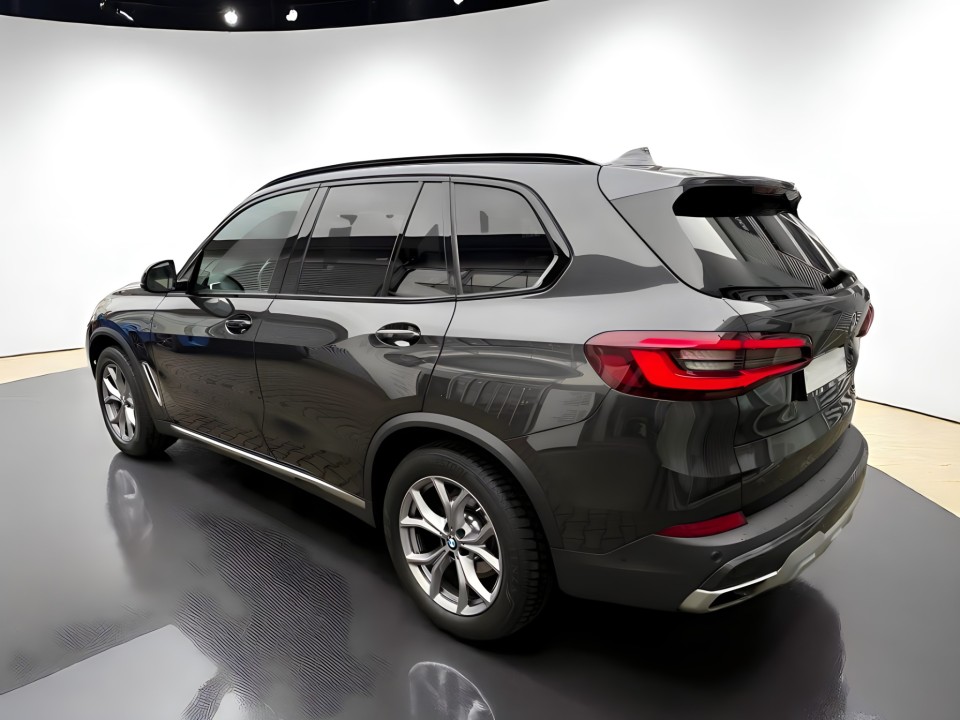 BMW X5 xDrive40i xLine (4)