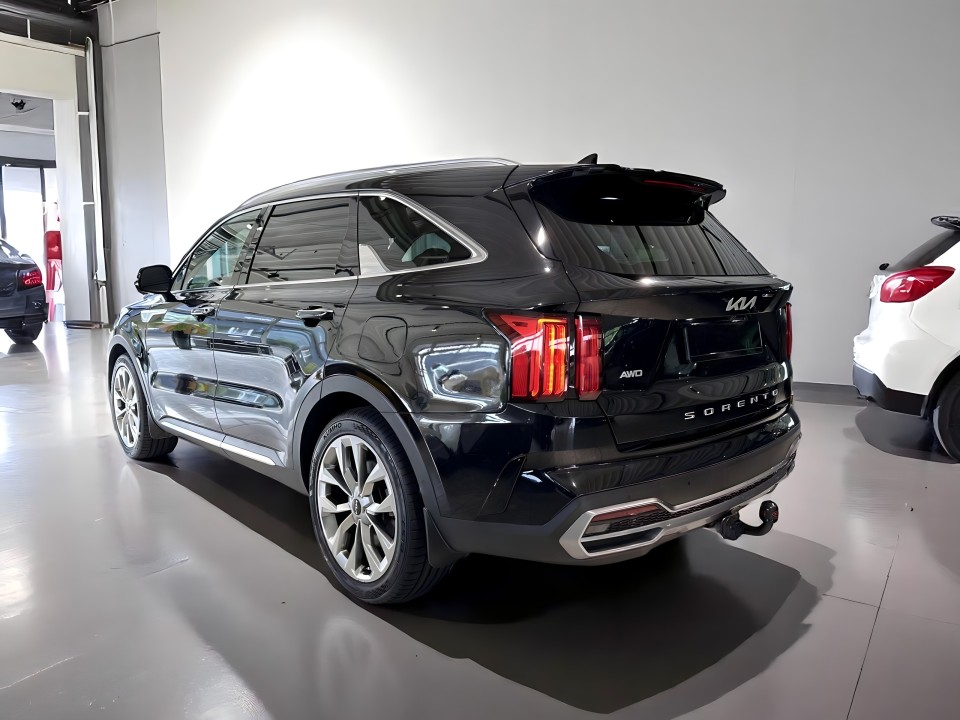 Kia Sorento 2.2 CRDI Platinum (4)