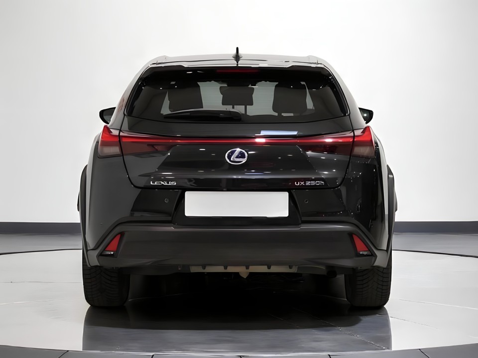 Lexus UX (5)