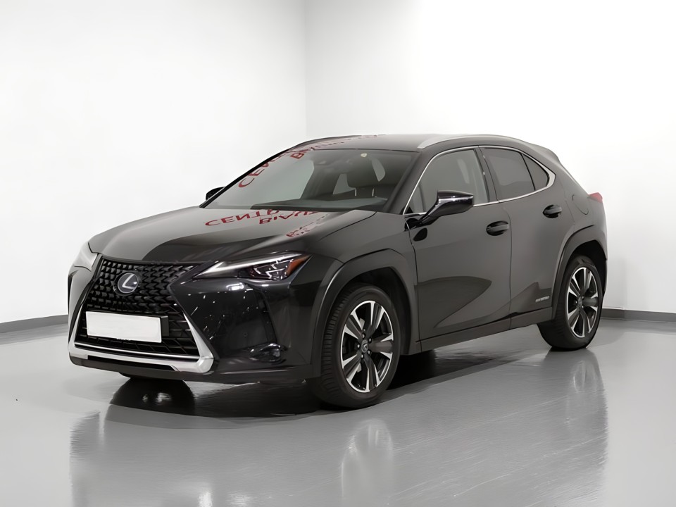 Lexus UX (1)