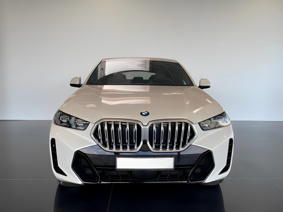 BMW X6 xDrive40i M-Sport (2)