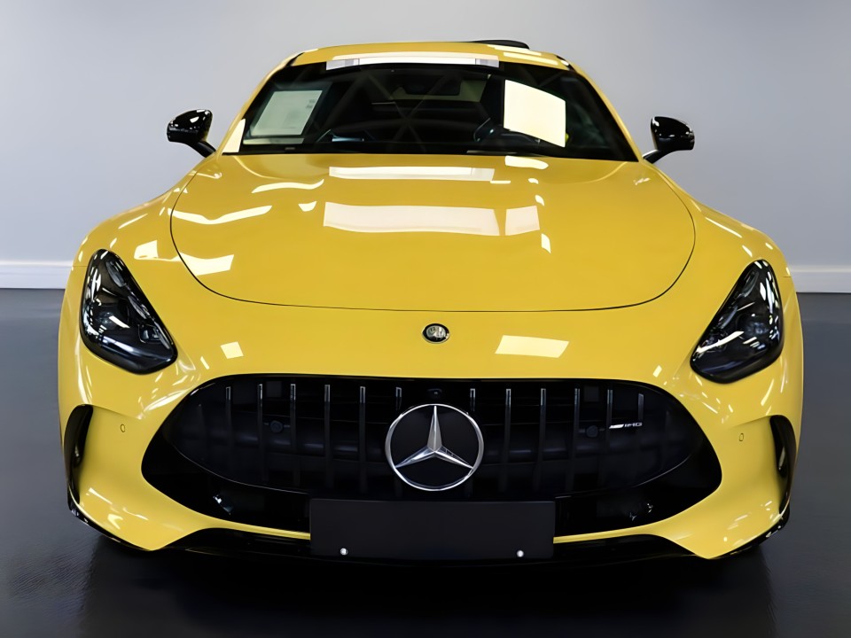 Mercedes-Benz AMG GT 63 4MATIC (2)