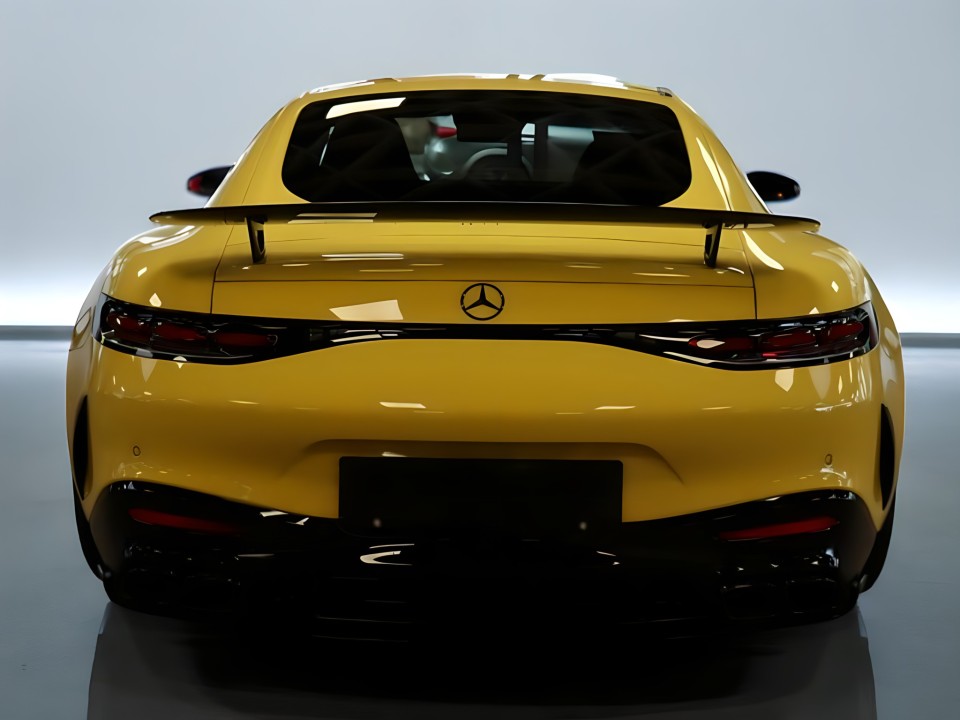Mercedes-Benz AMG GT 63 4MATIC (4)