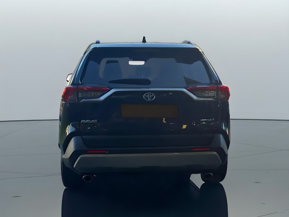 Toyota RAV4 Team D 2.5 HYB AWD (3)