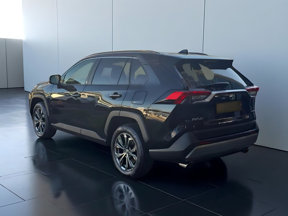 Toyota RAV4 Team D 2.5 HYB AWD (4)