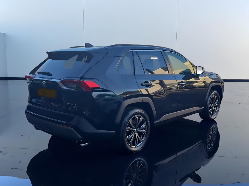 Toyota RAV4 Team D 2.5 HYB AWD (2)