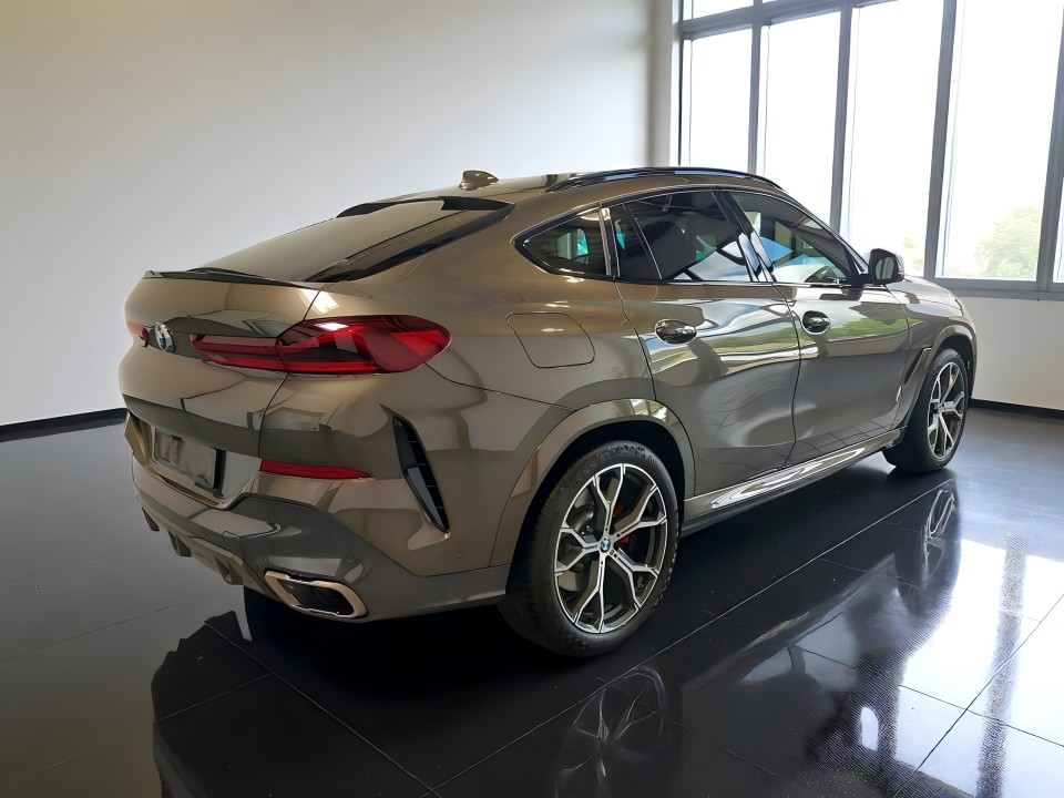 BMW X6 M50i (2)