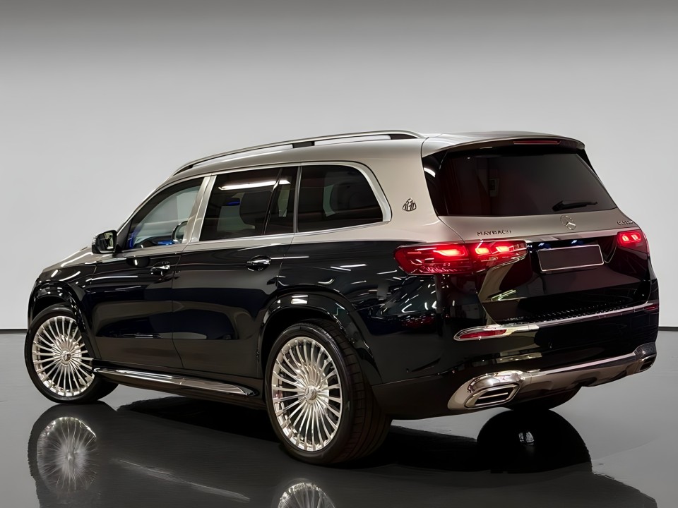 Mercedes-Benz GLS Maybach 600 (3)