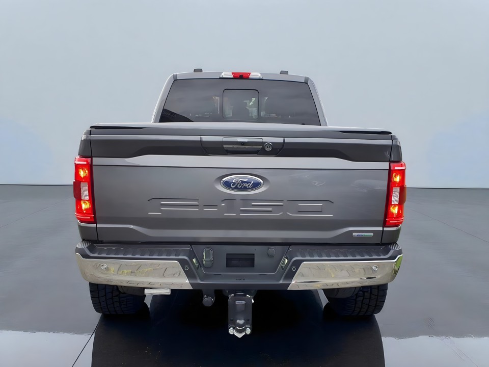Ford F150 (5)