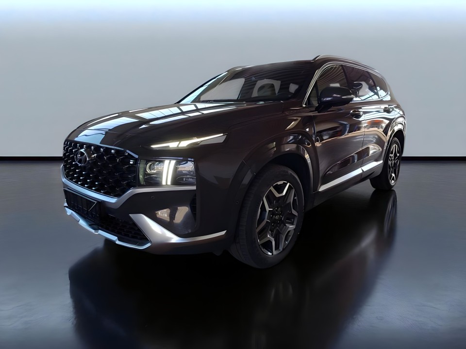Hyundai SANTA FE 1.6 PHEV 4WD (5)