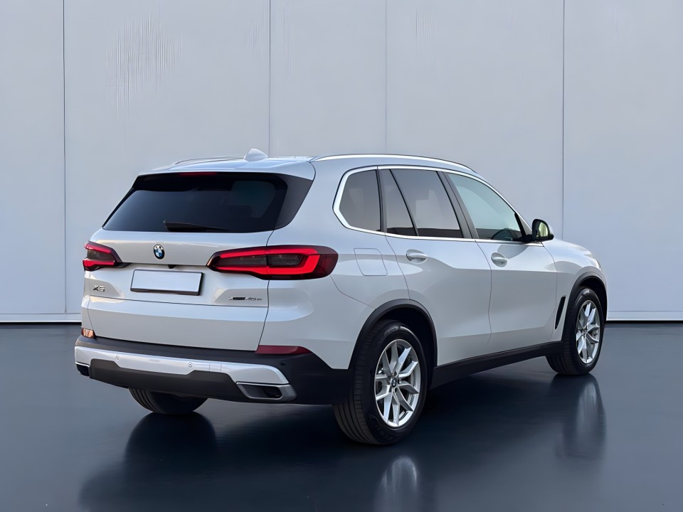 BMW X5 xDrive45e (2)