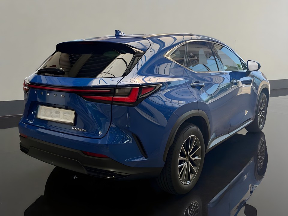 Lexus Seria NX 350h Executive (2)