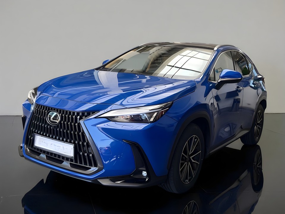Lexus Seria NX 350h Executive (5)