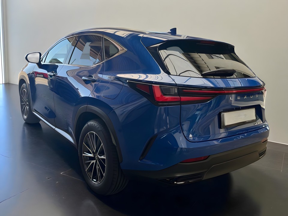 Lexus Seria NX 350h Executive (3)