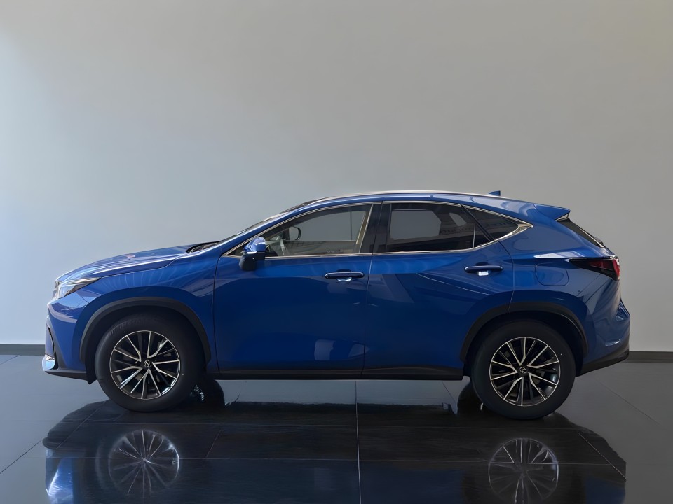 Lexus Seria NX 350h Executive (4)