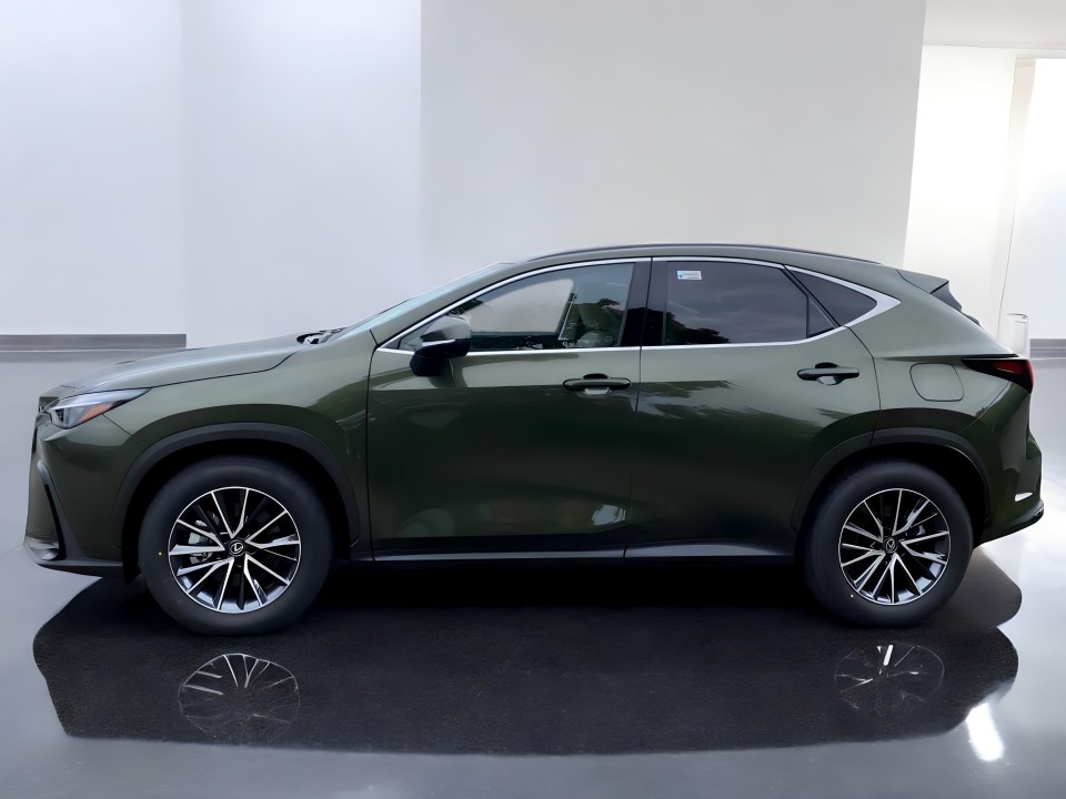Lexus Seria NX 450h+ Business Line (3)