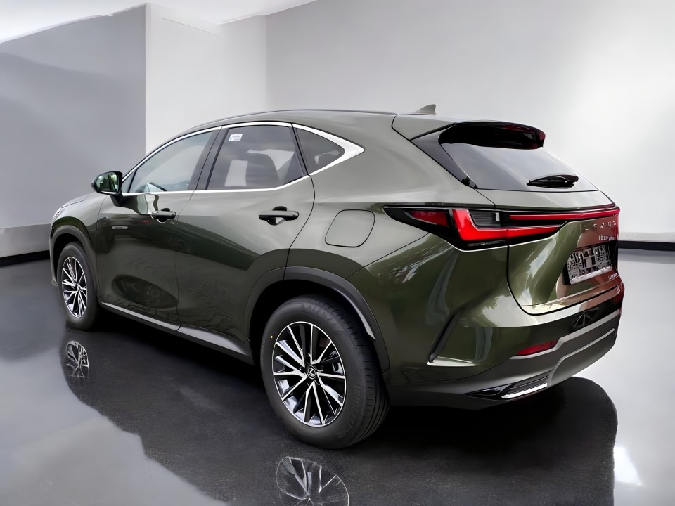 Lexus Seria NX 450h+ Business Line (4)