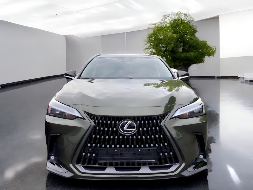 Lexus Seria NX 450h+ Business Line (2)