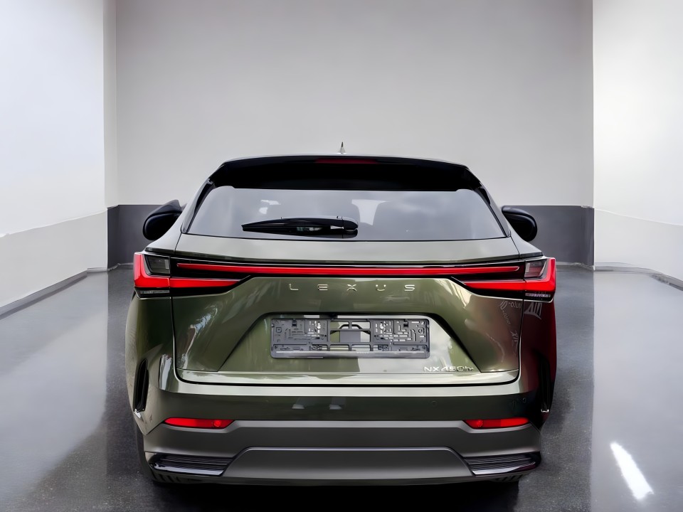 Lexus Seria NX 450h+ Business Line (5)