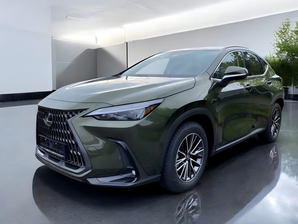 Lexus Seria NX 450h+ Business Line (1)