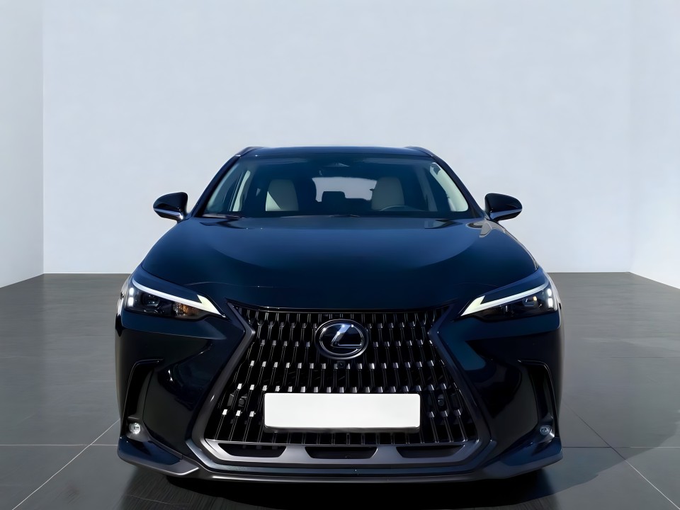 Lexus Seria NX Lexus NX 450h 2.5 (2)