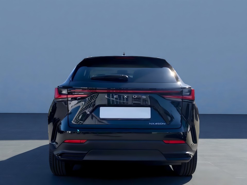 Lexus Seria NX Lexus NX 450h 2.5 (3)