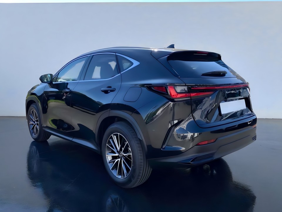 Lexus Seria NX Lexus NX 450h 2.5 (4)
