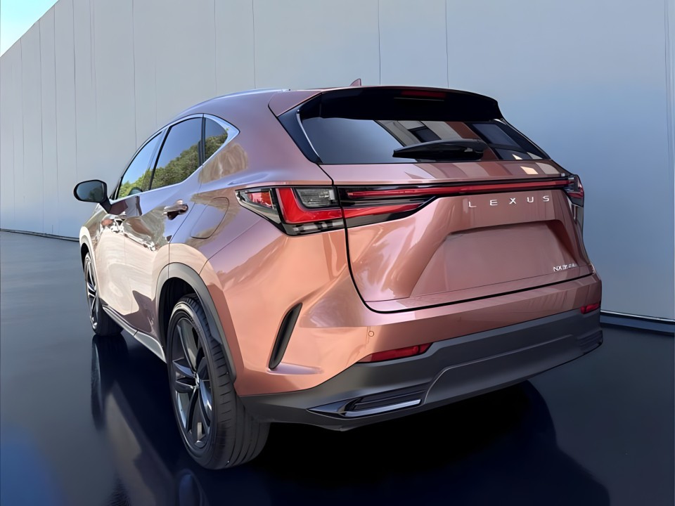 Lexus Seria NX 350h AWD (3)