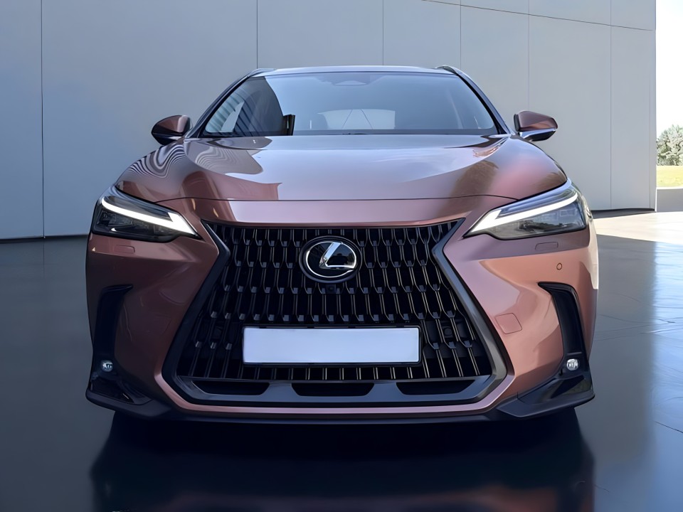 Lexus Seria NX 350h AWD (5)