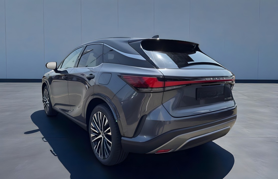 Lexus Seria RX 350h Executive (5)