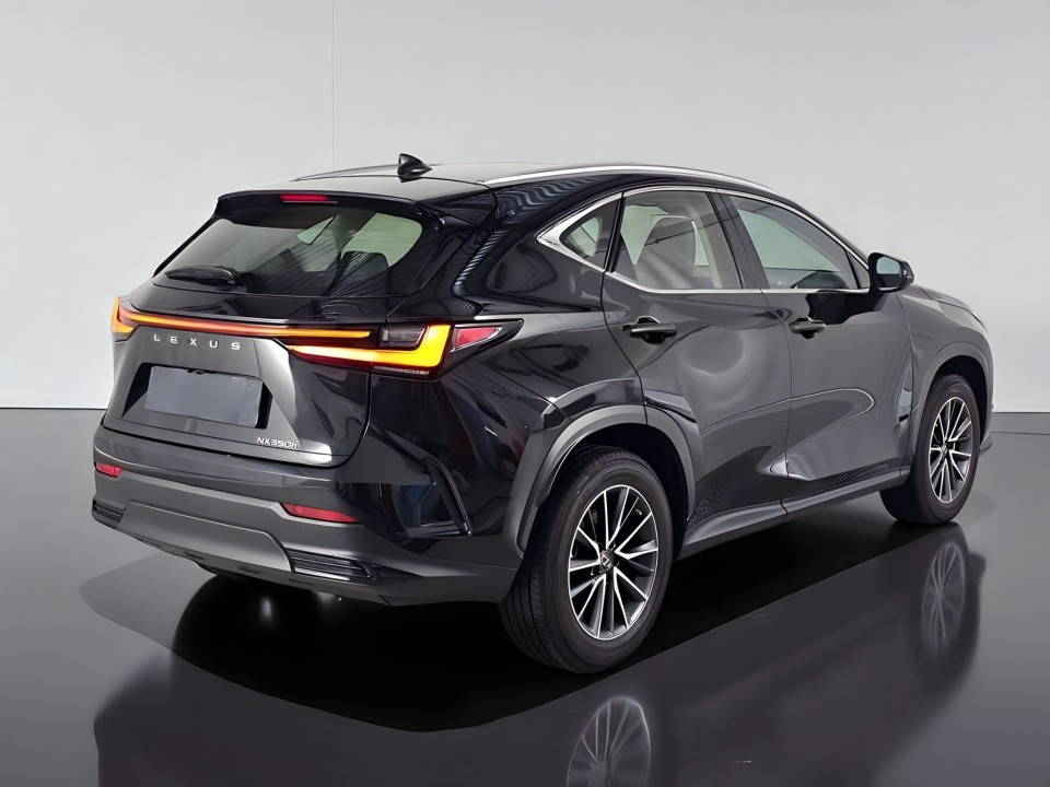 Lexus Seria NX 350h AWD Comfort (3)
