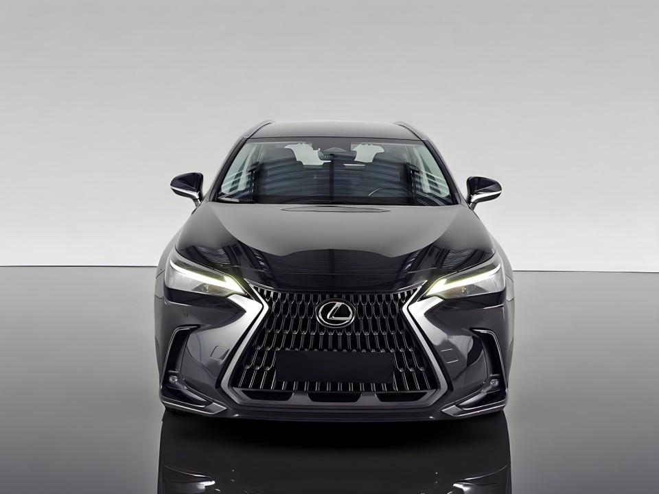 Lexus Seria NX 350h AWD Comfort (2)