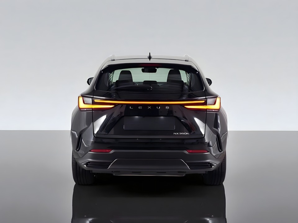 Lexus Seria NX 350h AWD Comfort (4)