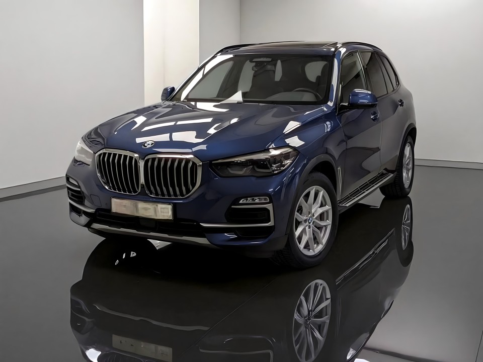 BMW X5 xDrive30d (2)