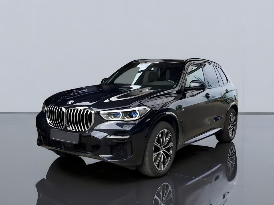 BMW X5 xDrive30d (4)