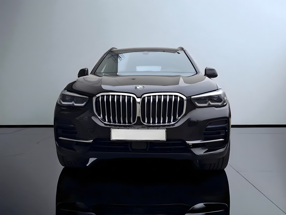 BMW X5 xDrive30d (2)