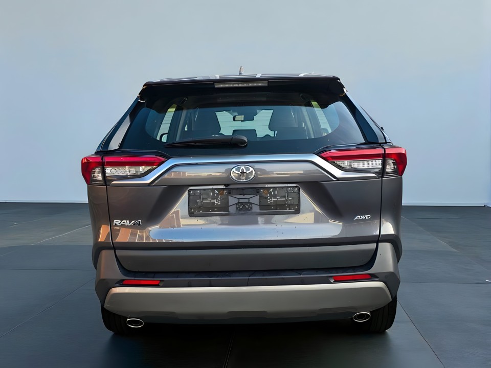 Toyota RAV 4 Luxury (3)