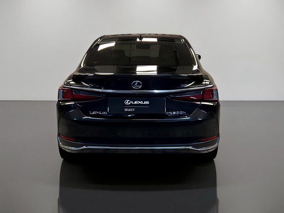 Lexus Seria ES 300h (4)