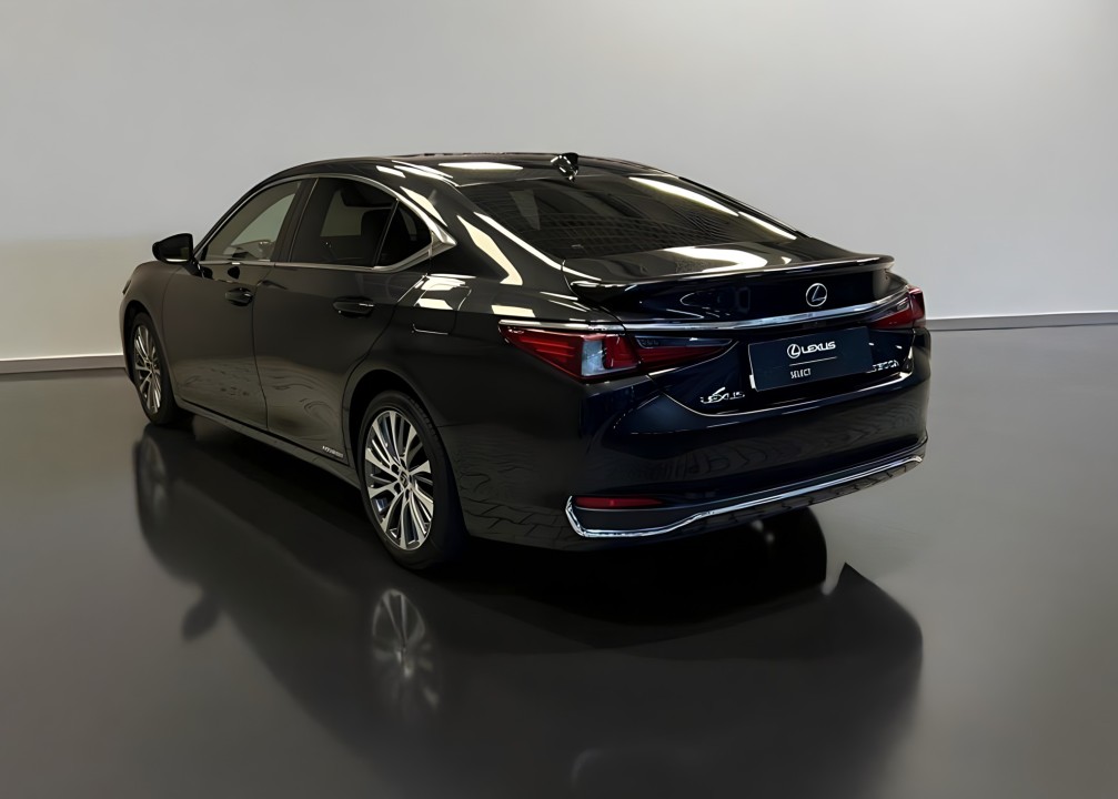 Lexus Seria ES 300h (5)